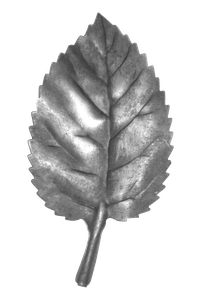 Hoja 0.5 mm × 25 mm × 55 mm