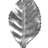 Hoja 0.5mm x 29mm x 62mm / 140/2 ornamental