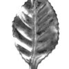 Hoja 0.5mm x 37mm x 80mm / 140/3 ornamental